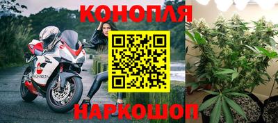 стаф Бугуруслан