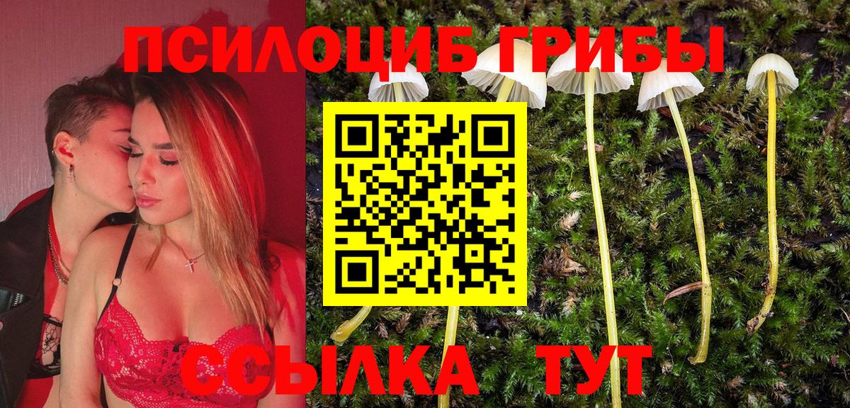 Галлюциногенные грибы GOLDEN TEACHER  Ирбит 