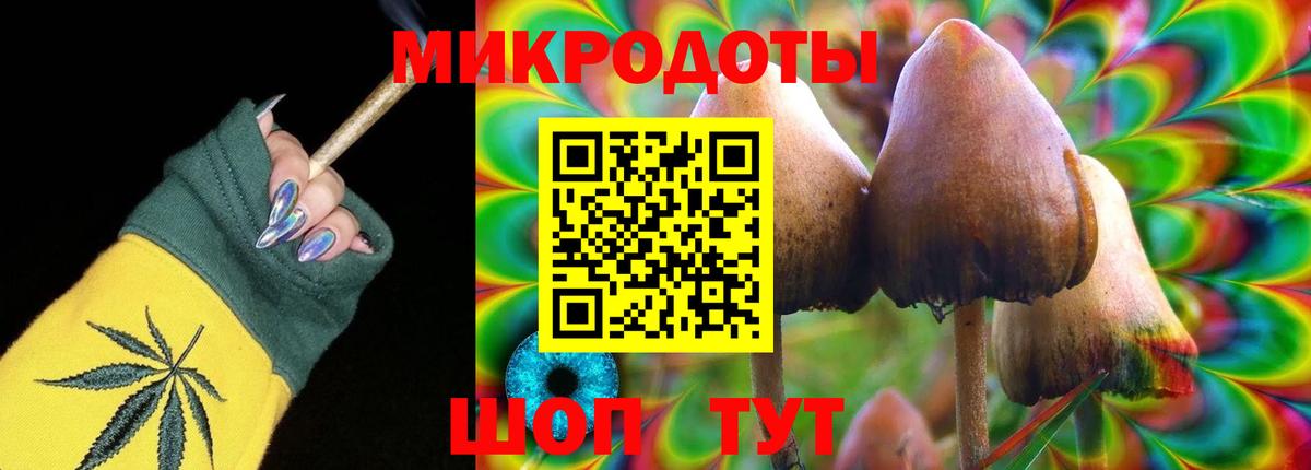 Псилоцибиновые грибы GOLDEN TEACHER  Галлюциногенные грибы прущие грибы  Ирбит  Вход с VPN 