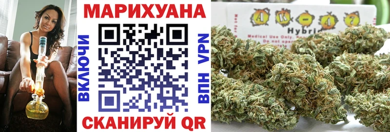 Марихуана сатива  дарнет шоп  Ирбит 